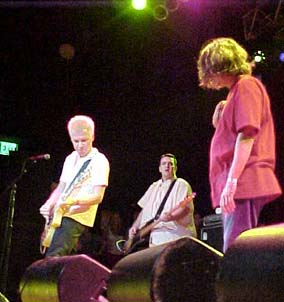 The Adolescents