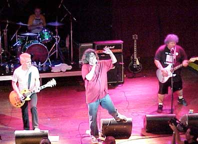 The Adolescents