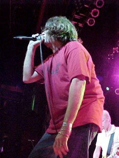 The Adolescents
