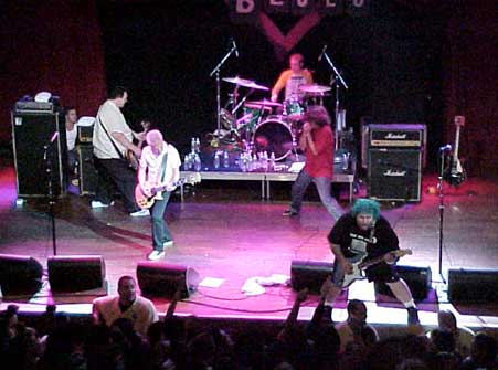 The Adolescents